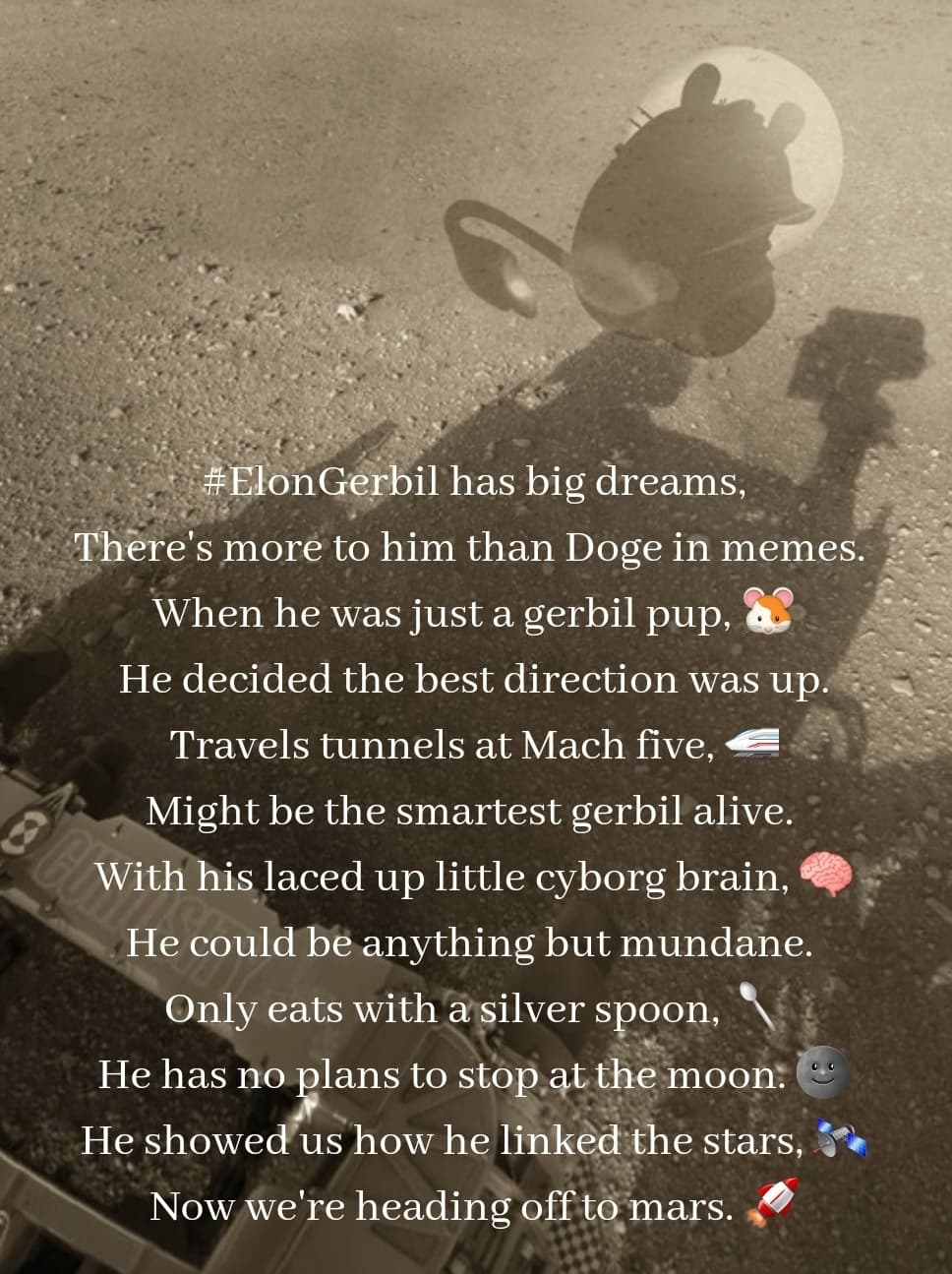 Entry media 1 for Elon Gerbil