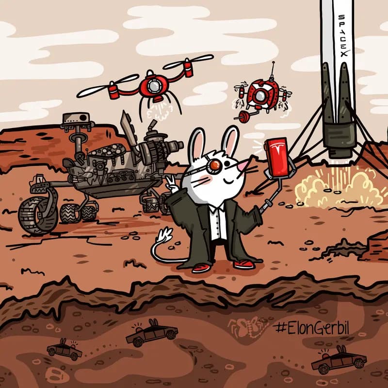 Elon Gerbil